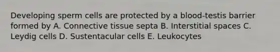 Developing sperm cells are protected by a blood-testis barrier formed by A. <a href='https://www.questionai.com/knowledge/kYDr0DHyc8-connective-tissue' class='anchor-knowledge'>connective tissue</a> septa B. Interstitial spaces C. Leydig cells D. Sustentacular cells E. Leukocytes