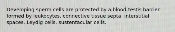 Developing sperm cells are protected by a blood-testis barrier formed by leukocytes. connective tissue septa. interstitial spaces. Leydig cells. sustentacular cells.