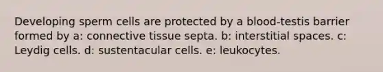 Developing sperm cells are protected by a blood-testis barrier formed by a: <a href='https://www.questionai.com/knowledge/kYDr0DHyc8-connective-tissue' class='anchor-knowledge'>connective tissue</a> septa. b: interstitial spaces. c: Leydig cells. d: sustentacular cells. e: leukocytes.