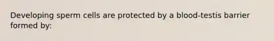 Developing sperm cells are protected by a blood-testis barrier formed by:
