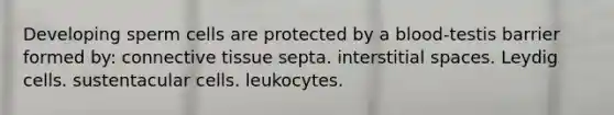 Developing sperm cells are protected by a blood-testis barrier formed by: connective tissue septa. interstitial spaces. Leydig cells. sustentacular cells. leukocytes.