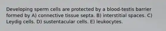 Developing sperm cells are protected by a blood-testis barrier formed by A) <a href='https://www.questionai.com/knowledge/kYDr0DHyc8-connective-tissue' class='anchor-knowledge'>connective tissue</a> septa. B) interstitial spaces. C) Leydig cells. D) sustentacular cells. E) leukocytes.