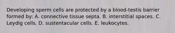 Developing sperm cells are protected by a blood-testis barrier formed by: A. <a href='https://www.questionai.com/knowledge/kYDr0DHyc8-connective-tissue' class='anchor-knowledge'>connective tissue</a> septa. B. interstitial spaces. C. Leydig cells. D. sustentacular cells. E. leukocytes.