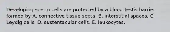 Developing sperm cells are protected by a blood-testis barrier formed by A. connective tissue septa. B. interstitial spaces. C. Leydig cells. D. sustentacular cells. E. leukocytes.