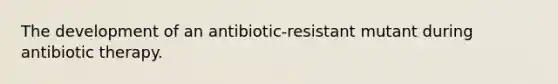 The development of an antibiotic-resistant mutant during antibiotic therapy.