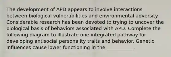 The development of APD appears to involve interactions between biological vulnerabilities and environmental adversity. Considerable research has been devoted to trying to uncover the biological basis of behaviors associated with APD. Complete the following diagram to illustrate one integrated pathway for developing antisocial personality traits and behavior. Genetic influences cause lower functioning in the ___________.