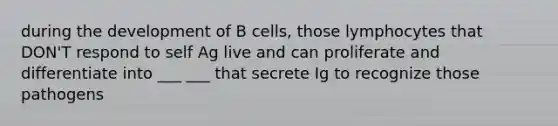 during the development of B cells, those lymphocytes that DON'T respond to self Ag live and can proliferate and differentiate into ___ ___ that secrete Ig to recognize those pathogens