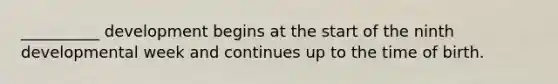 __________ development begins at the start of the ninth developmental week and continues up to the time of birth.