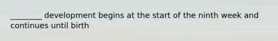 ________ development begins at the start of the ninth week and continues until birth