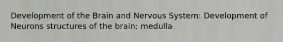 Development of the Brain and Nervous System: Development of Neurons structures of the brain: medulla