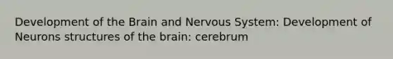 Development of the Brain and Nervous System: Development of Neurons structures of the brain: cerebrum