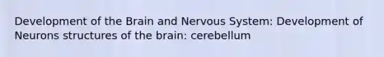 Development of the Brain and Nervous System: Development of Neurons structures of the brain: cerebellum