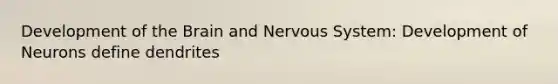 Development of the Brain and Nervous System: Development of Neurons define dendrites