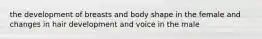 the development of breasts and body shape in the female and changes in hair development and voice in the male