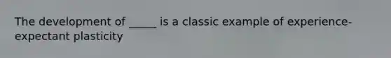 The development of _____ is a classic example of experience-expectant plasticity