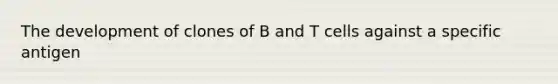 The development of clones of B and T cells against a specific antigen