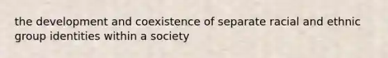 the development and coexistence of separate racial and ethnic group identities within a society