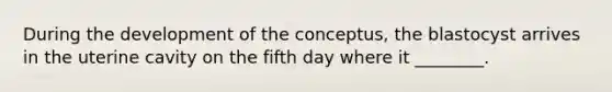 During the development of the conceptus, the blastocyst arrives in the uterine cavity on the fifth day where it ________.