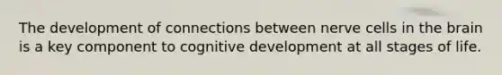 The development of connections between nerve cells in the brain is a key component to cognitive development at all stages of life.