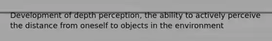 Development of depth perception, the ability to actively perceive the distance from oneself to objects in the environment