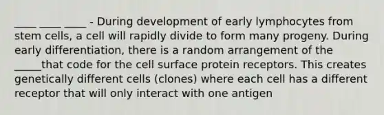 ____ ____ ____ - During development of early lymphocytes from stem cells, a cell will rapidly divide to form many progeny. During early differentiation, there is a random arrangement of the _____that code for the cell surface protein receptors. This creates genetically different cells (clones) where each cell has a different receptor that will only interact with one antigen
