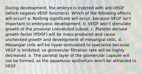 During development, the embryo is injected with anti-VEGF (which negates VEGF functions). Which of the following effects will occur? a. Nothing significant will occur, because VEGF isn't important to embryonic development. b. VEGF won't stimulate growth of the proximal convoluted tubule. c. Platelet-derived growth factor (PDGF) will be mass-produced and cause unchecked growth and development of mesangial cells. d. Mesangial cells will be hyper-stimulated to specialize because VEGF is inhibited, so glomerular filtration rate will be highly decreased. e. The parietal layer of the glomerular capsule will not be formed, as the squamous epithelium won't be attracted to VEGF.