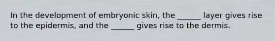 In the development of embryonic skin, the ______ layer gives rise to <a href='https://www.questionai.com/knowledge/kBFgQMpq6s-the-epidermis' class='anchor-knowledge'>the epidermis</a>, and the ______ gives rise to <a href='https://www.questionai.com/knowledge/kEsXbG6AwS-the-dermis' class='anchor-knowledge'>the dermis</a>.