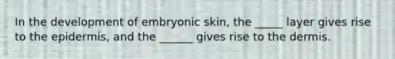 In the development of embryonic skin, the _____ layer gives rise to the epidermis, and the ______ gives rise to the dermis.