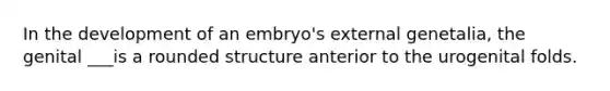 In the development of an embryo's external genetalia, the genital ___is a rounded structure anterior to the urogenital folds.