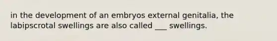 in the development of an embryos external genitalia, the labipscrotal swellings are also called ___ swellings.