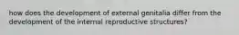 how does the development of external genitalia differ from the development of the internal reproductive structures?