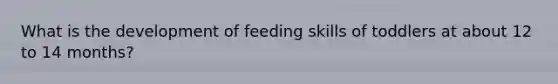 What is the development of feeding skills of toddlers at about 12 to 14 months?