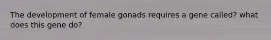 The development of female gonads requires a gene called? what does this gene do?