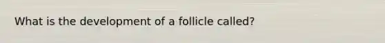 What is the development of a follicle called?