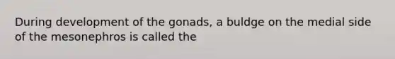 During development of the gonads, a buldge on the medial side of the mesonephros is called the