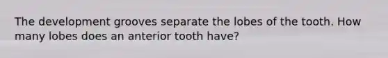 The development grooves separate the lobes of the tooth. How many lobes does an anterior tooth have?