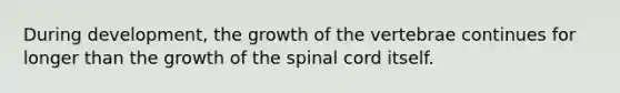 During development, the growth of the vertebrae continues for longer than the growth of the spinal cord itself.