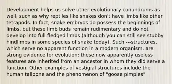 Development helps us solve other evolutionary conundrums as well, such as why reptiles like snakes don't have limbs like other tetrapods. In fact, snake embryos do possess the beginnings of limbs, but these limb buds remain rudimentary and do not develop into full-fledged limbs (although you can still see stubby hindlimbs in some species of snake today). Such ---structures, which serve no apparent function in a modern organism, are strong evidence for evolution: these now apparently useless features are inherited from an ancestor in whom they did serve a function. Other examples of vestigial structures include the human tailbone and the phenomenon of "goose pimples"