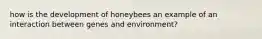 how is the development of honeybees an example of an interaction between genes and environment?