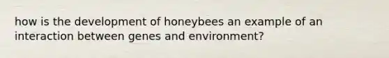 how is the development of honeybees an example of an interaction between genes and environment?