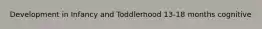 Development in Infancy and Toddlerhood 13-18 months cognitive