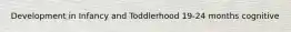 Development in Infancy and Toddlerhood 19-24 months cognitive