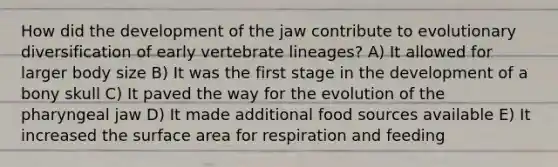 How did the development of the jaw contribute to evolutionary diversification of early vertebrate lineages? A) It allowed for larger body size B) It was the first stage in the development of a bony skull C) It paved the way for the evolution of the pharyngeal jaw D) It made additional food sources available E) It increased the surface area for respiration and feeding