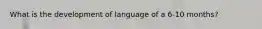 What is the development of language of a 6-10 months?