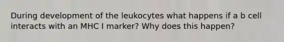 During development of the leukocytes what happens if a b cell interacts with an MHC I marker? Why does this happen?