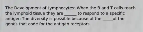 The Development of Lymphocytes: When the B and T cells reach the lymphoid tissue they are ______ to respond to a specific antigen The diversity is possible because of the _____of the genes that code for the antigen receptors