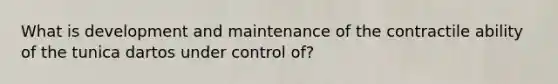 What is development and maintenance of the contractile ability of the tunica dartos under control of?