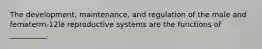 The development, maintenance, and regulation of the male and fematerm-12le reproductive systems are the functions of __________.