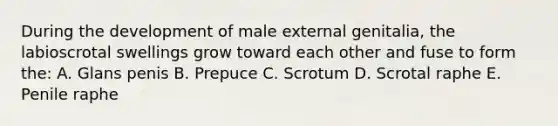 During the development of male external genitalia, the labioscrotal swellings grow toward each other and fuse to form the: A. Glans penis B. Prepuce C. Scrotum D. Scrotal raphe E. Penile raphe