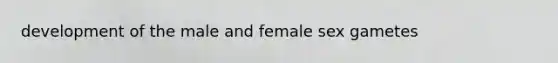 development of the male and female sex gametes